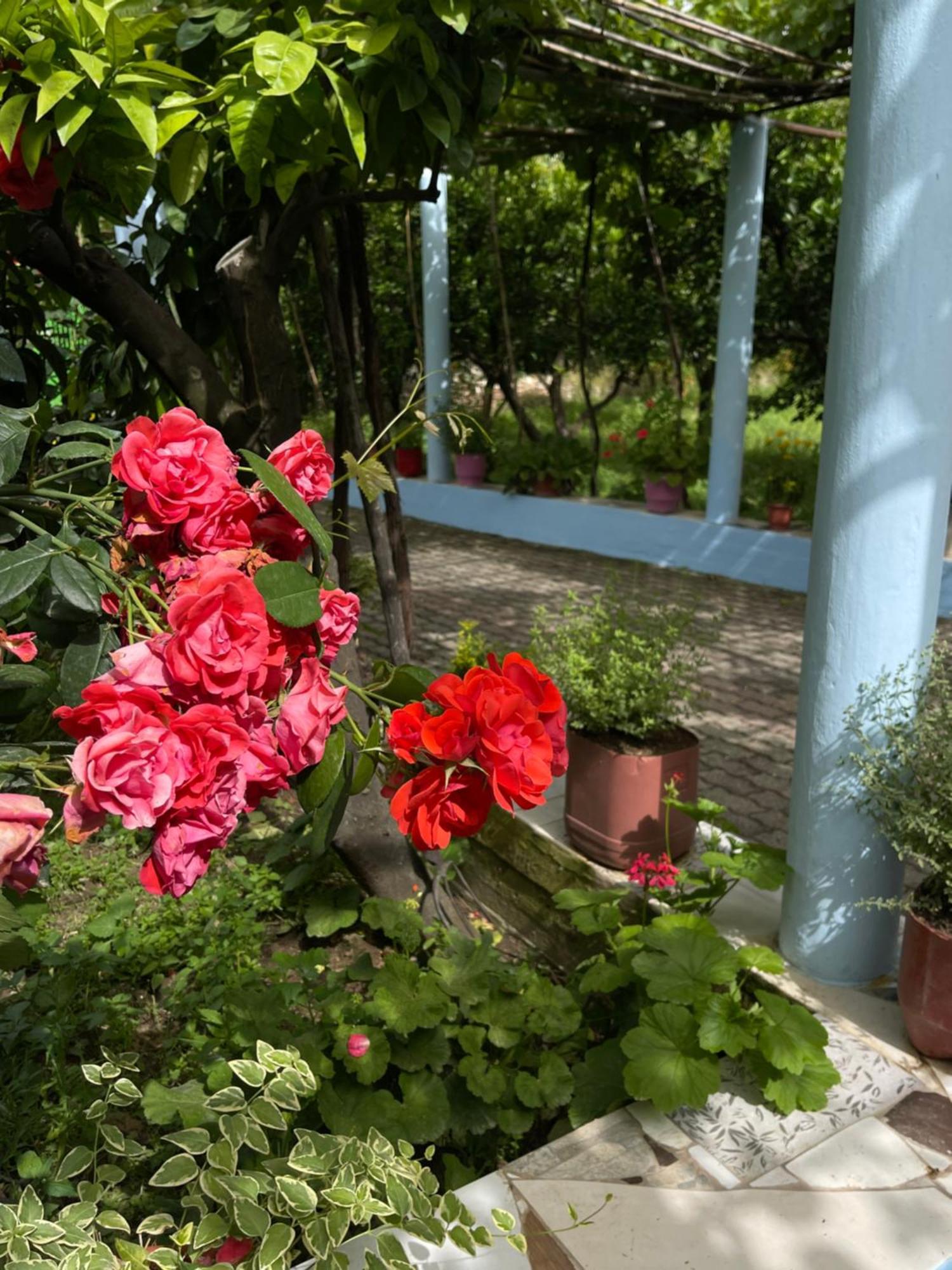 Villa Mance Berat Bagian luar foto