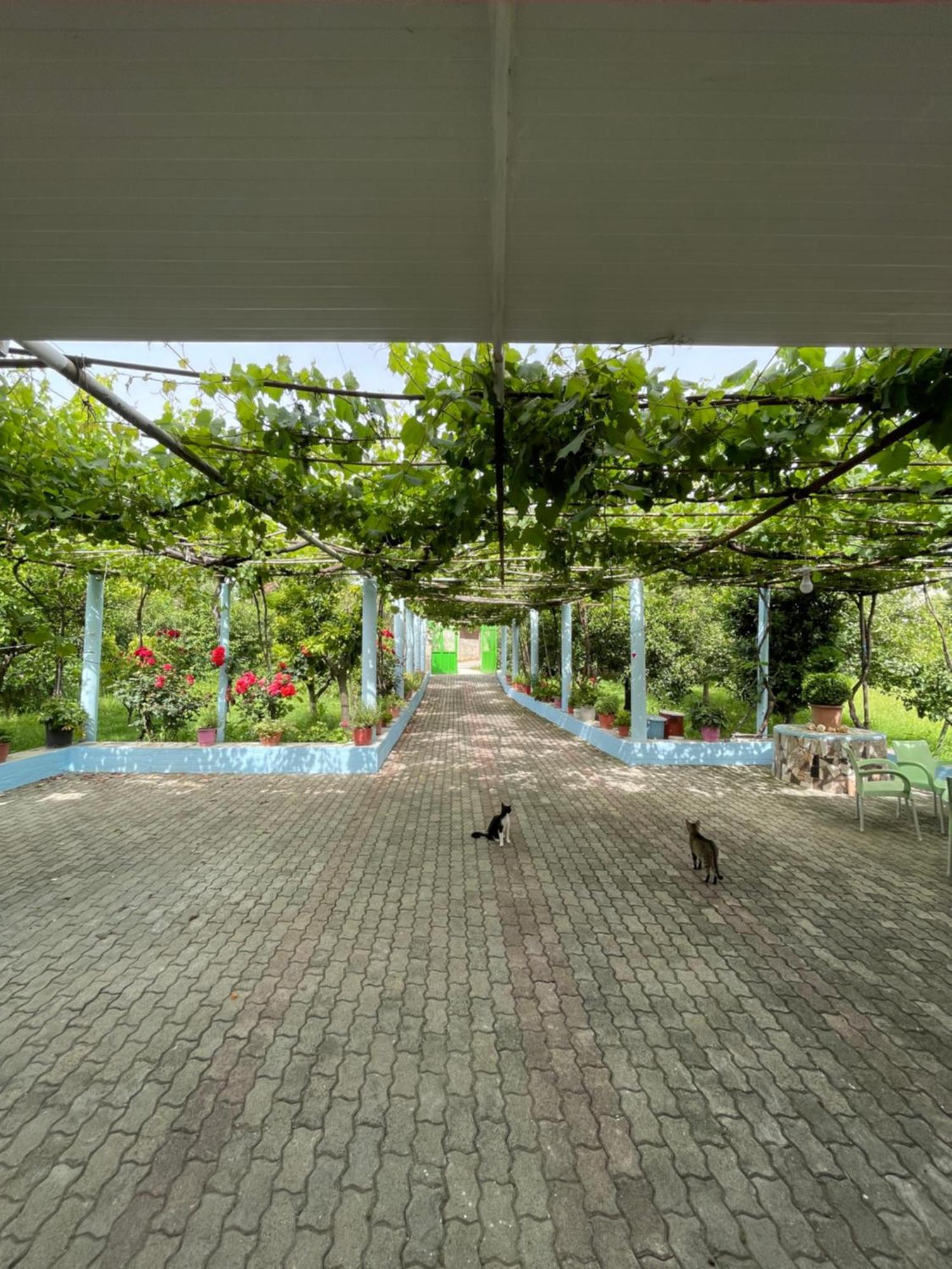 Villa Mance Berat Bagian luar foto